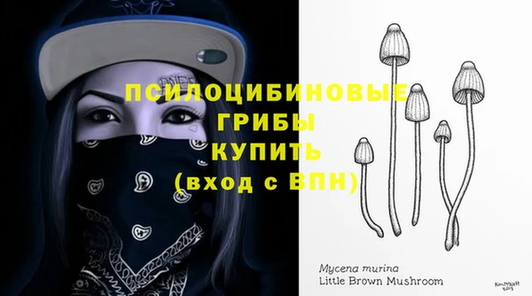 СК Белокуриха