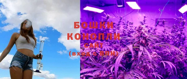 СК Белокуриха
