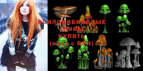 СК Белокуриха