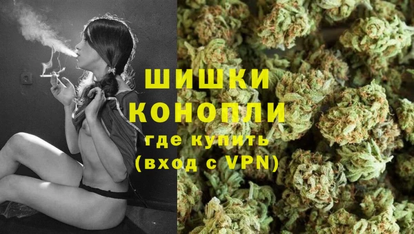 СК Белокуриха