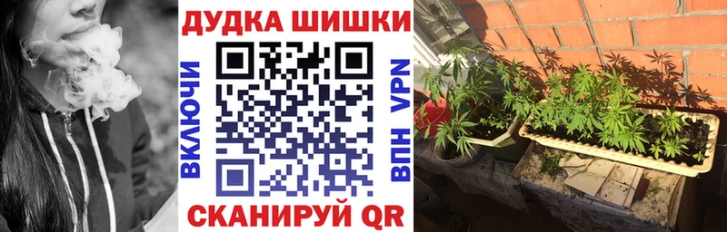 Каннабис индика  Щёкино 